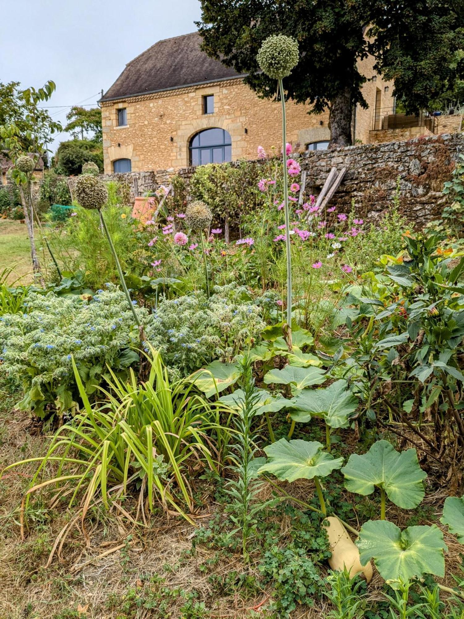La Grange Symphorine, Chambre D'Hotes De Charme Situee Entre La Vallee De La Dordogne Et La Vallee De La Vezere Meyrals Esterno foto